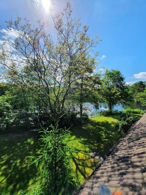 Ferienhaus Blauer See Mit Optionalem Hot-Tub Бокхорн Экстерьер фото