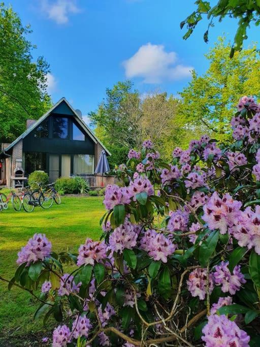 Ferienhaus Blauer See Mit Optionalem Hot-Tub Бокхорн Экстерьер фото